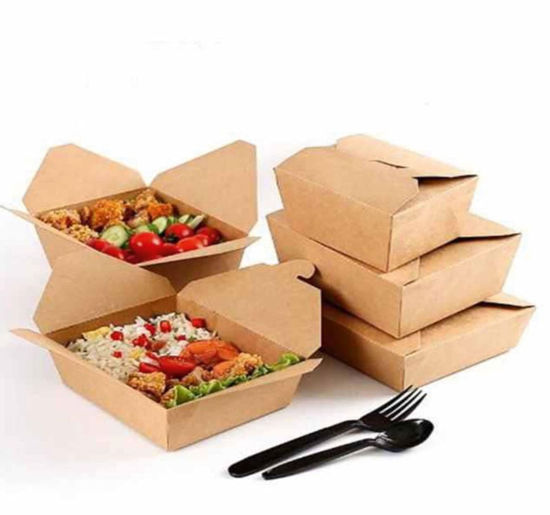Kraft Paper Takeway Box / Bio Box