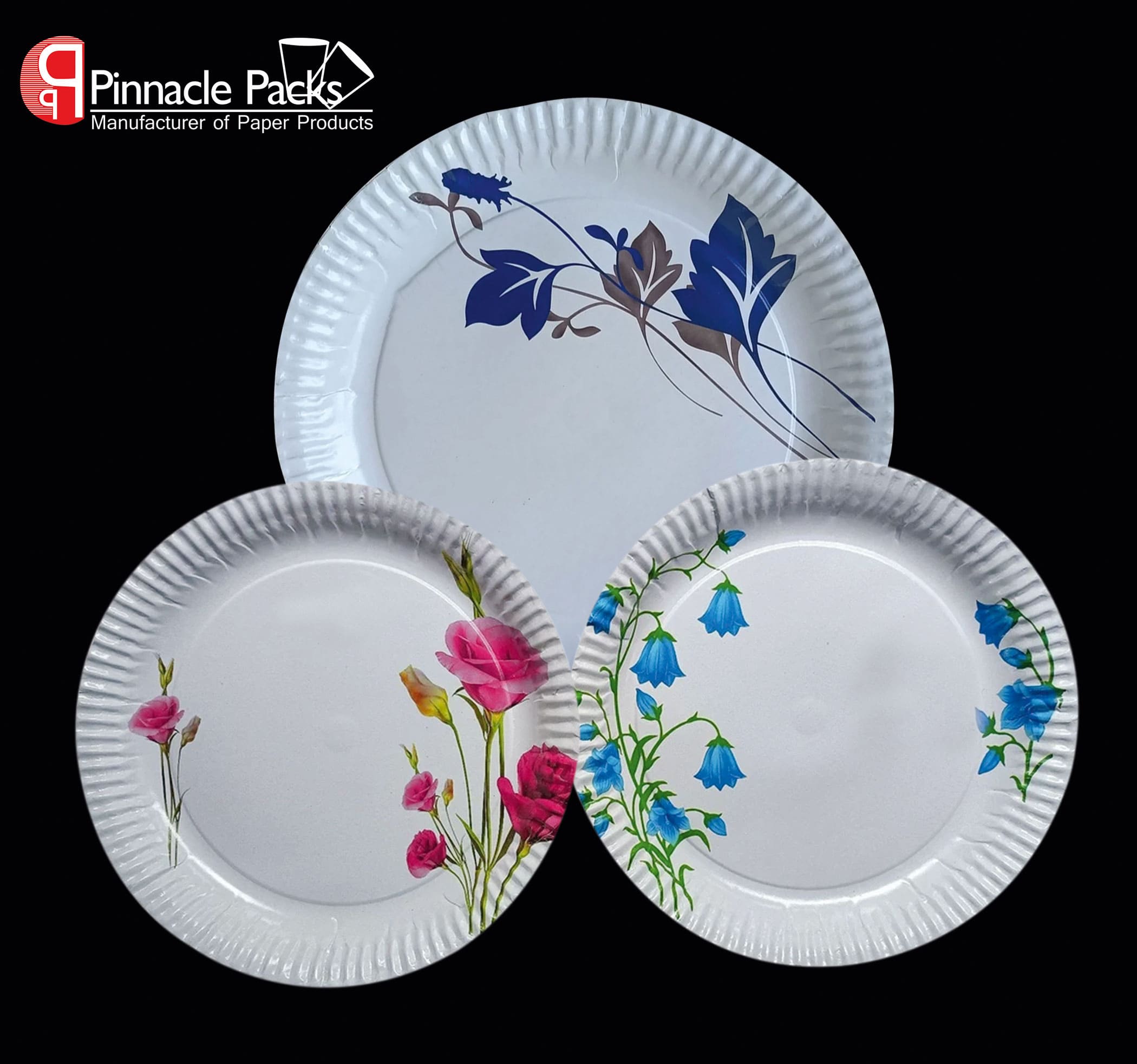 Disposable Design Flat Paper Plate