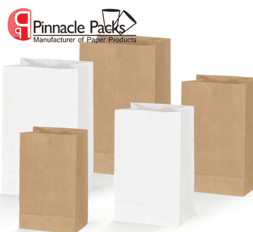 Paper Grocery Bags Plain